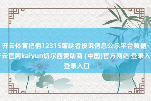 开云体育把柄12315蹧跶者投诉信息公示平台数据-开云官网kaiyun切尔西赞助商 (中国)官方网站 登录入口