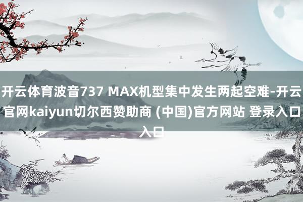 开云体育波音737 MAX机型集中发生两起空难-开云官网kaiyun切尔西赞助商 (中国)官方网站 登录入口