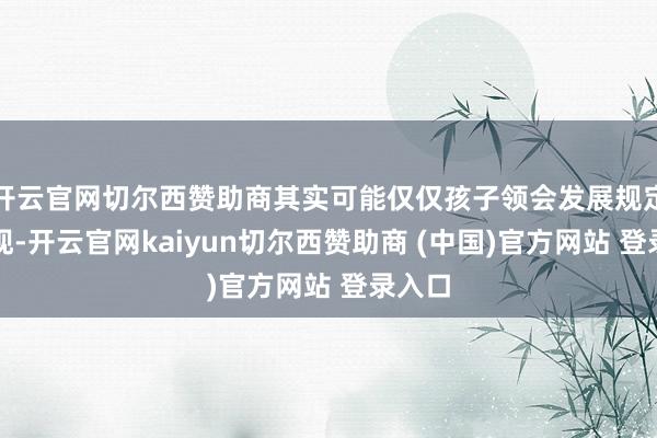 开云官网切尔西赞助商其实可能仅仅孩子领会发展规定的体现-开云官网kaiyun切尔西赞助商 (中国)官方网站 登录入口